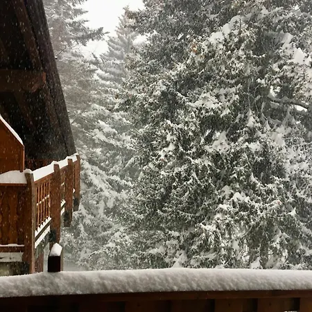 Appartement Vista Mont Blanc *