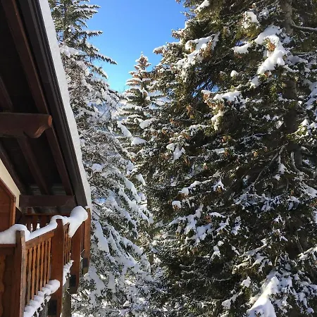 Appartement Vista Mont Blanc Courmayeur